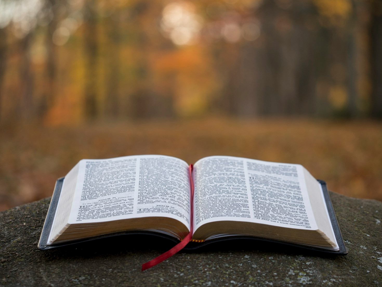 Testimonios de vidas transformadas por Cristo